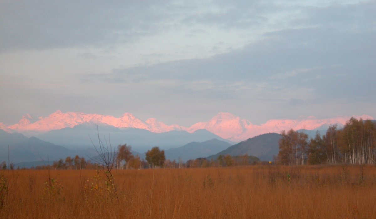 DSCN4800.JPG