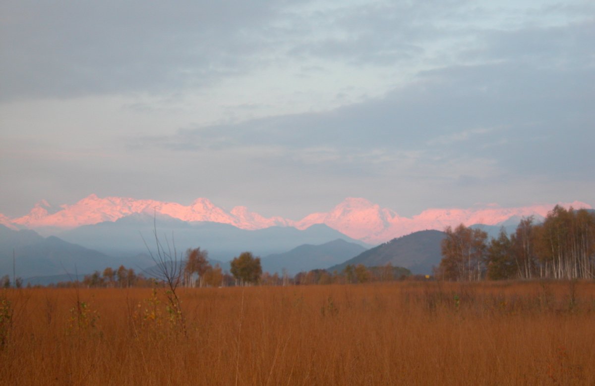 DSCN4800.JPG