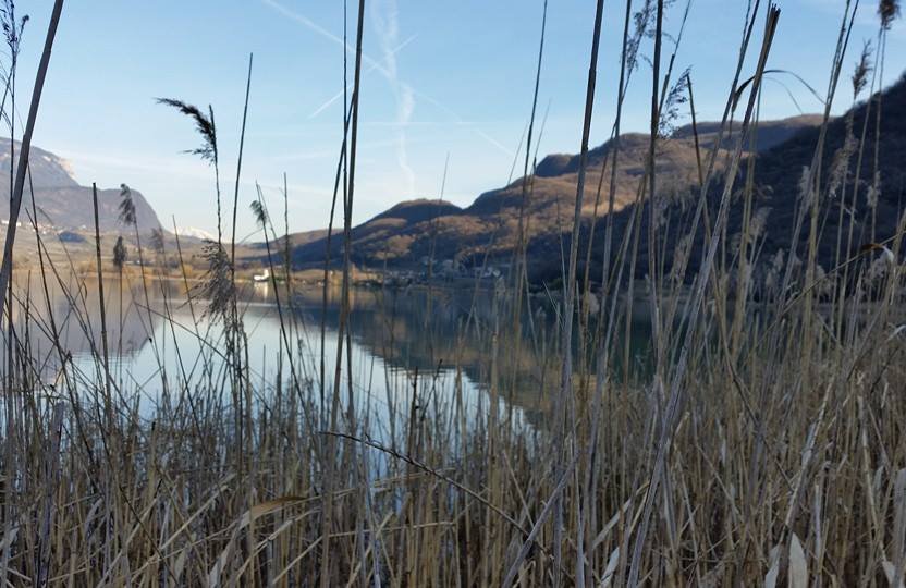 lago di Caldaro.jpg