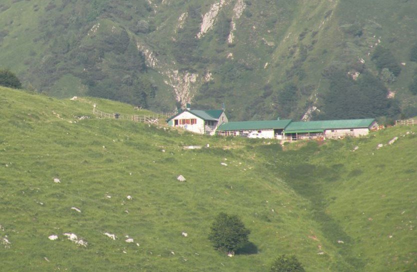 malga confin 2.jpg